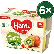 Hami Fruit Snack 100% Apple kiwi acerola 6× (4× 100 g) - Baby Food