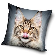 CARBOTEX povlak na polštářek Kočka Sibiřská selfie 40×40 cm - Povlak na polštář