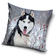 CARBOTEX povlak na polštářek Sibiřský Husky 40×40 cm  - Povlak na polštář
