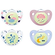 (CARRIER ITEM) NUK Dummy Trendline Dau & Night 2 pcs - Baby Pacifier