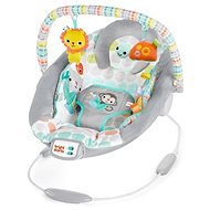 Bright Starts Rocker with Whimsical Wild Melody 2019 - Baby Rocker