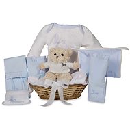 Lovely gift basket - blue - Baby Health Check Kit