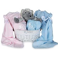 BEBEDEPARIS My Elephant gift basket for twins - Baby Health Check Kit