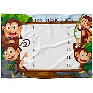 IMPAR milestone blanket Monkeys - Blanket