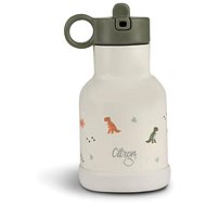 Citron Stainless steel water bottle 250 ml - Dino - Children's Thermos