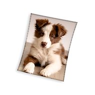 Carbotex Baby fleece blanket Puppy Border Collie 150 × 200 cm - Blanket