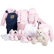 Luxury Baby Bear - pink - Baby Health Check Kit