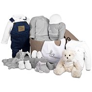 Luxury Baby Bear - grey - Baby Health Check Kit
