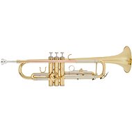 BACIO INSTRUMENTS BTR-100 - Pipe