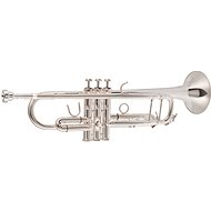 BACIO INSTRUMENTS BTR-100S - Pipe
