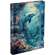 BAAGL Folders for school notebooks A4 Dolphin - School Folder