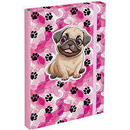BAAGL Folders for school notebooks A4 Paws - School Folder