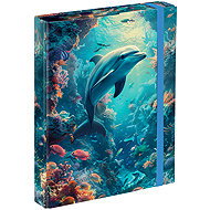 BAAGL Folders for school notebooks A5 Dolphin - School Folder