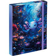 BAAGL Folders for school notebooks A5 Axolotl - School Folder