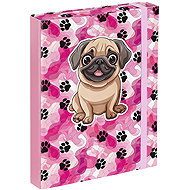 BAAGL Folders for school notebooks A5 Paws - School Folder