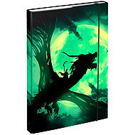 BAAGL Folders for school notebooks A4 Dragon - School Folder