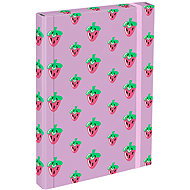 BAAGL Desky na školní sešity A4 Lavender - School Folder