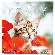 Baloušek Print Cats 2025, 28,5 × 28,5 cm - Wall Calendar