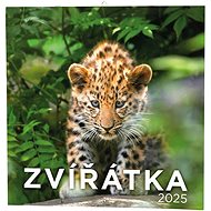 Baloušek Print Animals 2025, 28,5 × 28,5 cm - Wall Calendar