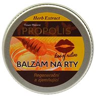 VIVACO Herb Extract - lip balm with Propolis 25 g - Lip Balm