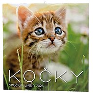 BALOUŠEK PRINT 2026 monthly, Cats - Wall Calendar