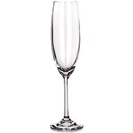 BANQUET CRYSTAL DEGUSTATION 220 ml, 6 pcs, for sparkling wine - Glass