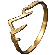 STYLE4 Prsten Hory, zlatá ocel - Ring