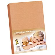 BELLATEX Jersey with elastane fitted sheet 180 × 200 × 40 307 salmon - Bedsheet