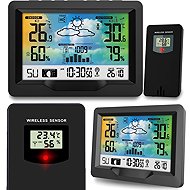 Berdsen BD-901, black - Weather Station