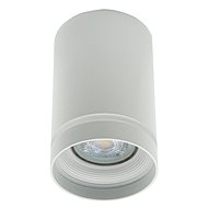 Berger Spot luminaire 3008-DL-1 White - Spot Lighting
