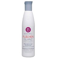 BERRYWELL Flächen Glanz Smoothing Conditioner 251 ml - Conditioner