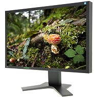 22" EIZO S2202WHA-BK EcoView - Monitor
