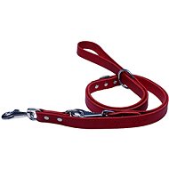 Bafpet Switchable Leather ECG Leash - Red, 25mm × 240cm, 07306E - Leash