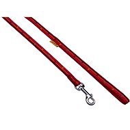 Bafpet Webbing Leash "Paws-Stripe" - Red, 10mm × 120cm, 18202TP - Leash