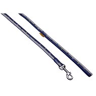 Bafpet Strap Leash "Paws-stripe" - Blue, 10mm × 120cm, 18202TP - Leash
