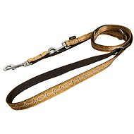 Bafpet ECG strap switch leash - Brown, 20mm × 240cm 18303E - Leash