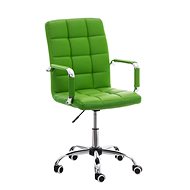 BHM GERMANY Deli, green - Office Chair