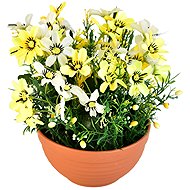 BerryHome Flower bowl yellow, diameter 23/ 21 cm - Artificial Flower