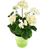 BerryHome Cream geranium in ceramic pot 40 × 25 cm - Artificial Flower