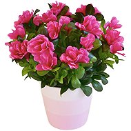 BerryHome Azalea pink in ceramic pot 30 × 27 cm - Artificial Flower