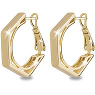 Biju Gold plated earrings 3001 - Earrings