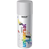 BIODUR Metallic Silver Email Spray 400ml - Spray Paint