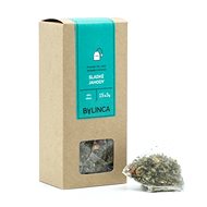 Fruit Tea ORGANIC: Sweet Strawberries 15x3g - Tea