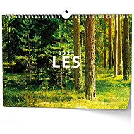 BALOUŠEK Les 2027, 45 × 32 cm - Wall Calendar