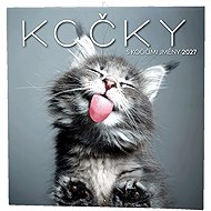 BALOUŠEK Cats 2027 Notebook, 28.5 × 28.5cm - Wall Calendar