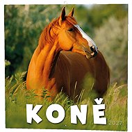 BALOUŠEK Horses 2027 Notebook, 28.5 × 28.5cm - Wall Calendar
