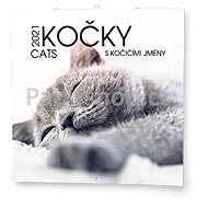 BALOUŠEK- Cats - Wall Calendar