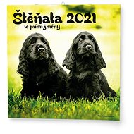 BALOUŠEK - Puppies - Wall Calendar