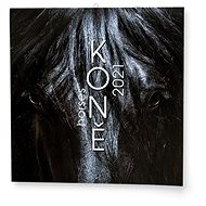 BALOUŠEK- Horses - Wall Calendar