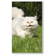 Vikpap Weekly diary - cat 2024 - Planner
